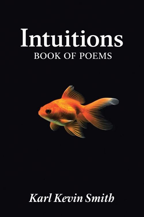 Produktbild: Intuitions