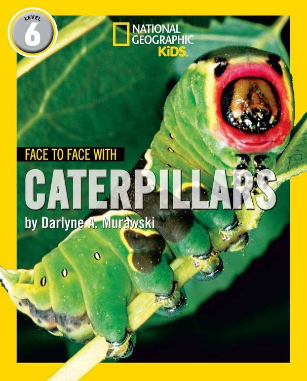 Produktbild: Nat Geo Reader Caterpillars
