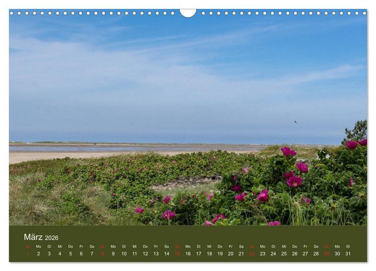 Produktbild: R&ouml;m&ouml; - Wasser, Wind und endloser Strand (Wandkalender 2026 DIN A3 quer), CALVENDO Monatskalender