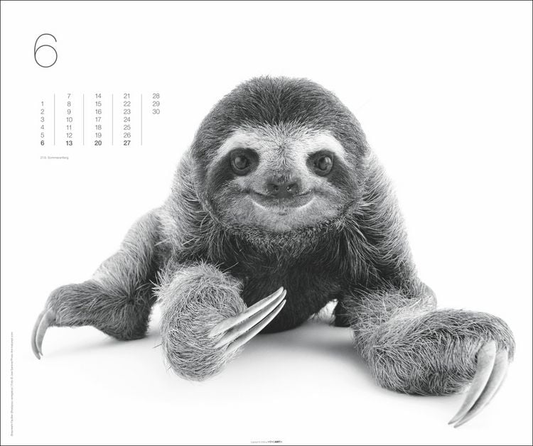Produktbild: Black & White Animals 2027