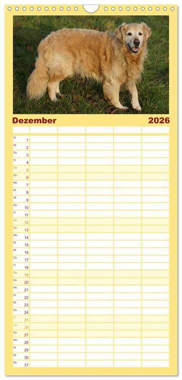 Produktbild: Familienplaner 2026 - Golden Retriever Power mit 5 Spalten (Wandkalender, 21 x 45 cm) CALVENDO