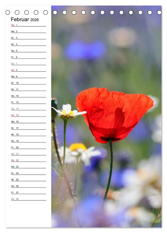 Produktbild: Mohn, zarte Bl&uuml;ten, starke Farben, der Geburtstagskalender (Tischkalender 2026 DIN A5 hoch), CALVENDO Monatskalender