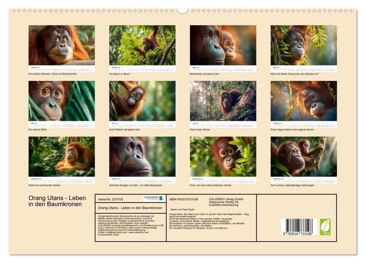 Produktbild: Orang Utans - Leben in den Baumkronen (hochwertiger Premium Wandkalender 2026 DIN A2 quer), Kunstdruck in Hochglanz
