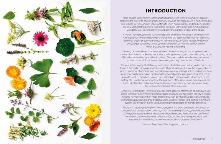 Produktbild: Plants That Heal Hb
