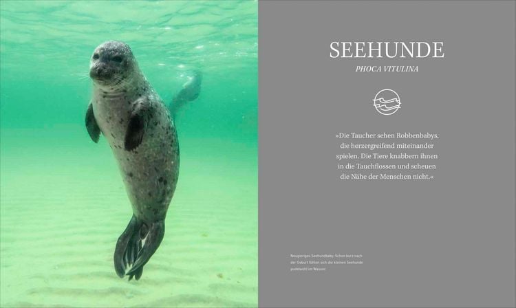 Produktbild: Unsere Meere &ndash; Naturwunder Nord- und Ostsee