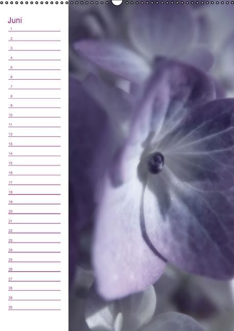 Produktbild: Bl&uuml;tentr&auml;ume Geburtstagskalender (Wandkalender immerw&auml;hrend DIN A2 hoch)