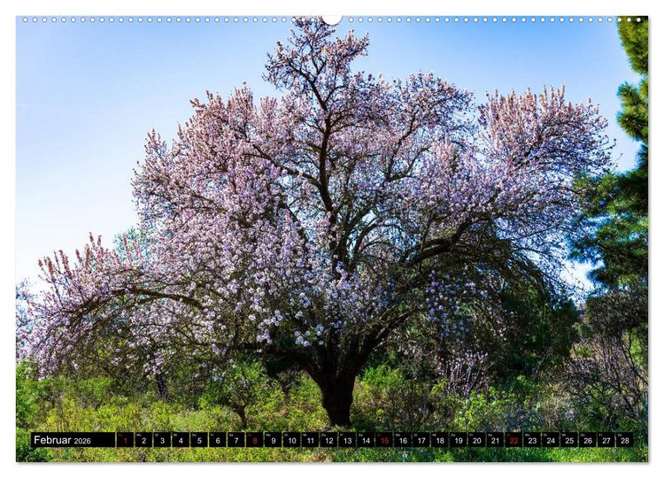 Produktbild: La Palma - Landschaften und Meer (Wandkalender 2026 DIN A2 quer), CALVENDO Monatskalender