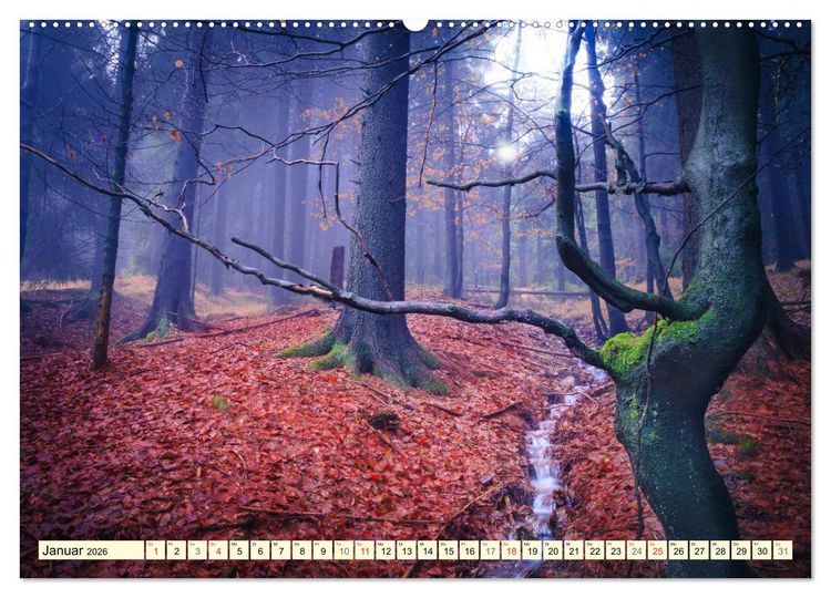Produktbild: Mystische W&auml;lder - Zauber der Natur (hochwertiger Premium Wandkalender 2026 DIN A2 quer), Kunstdruck in Hochglanz