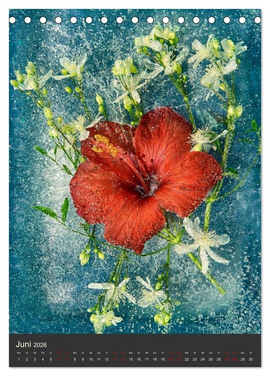 Produktbild: Magische Eisblumen (Tischkalender 2026 DIN A5 hoch), CALVENDO Monatskalender