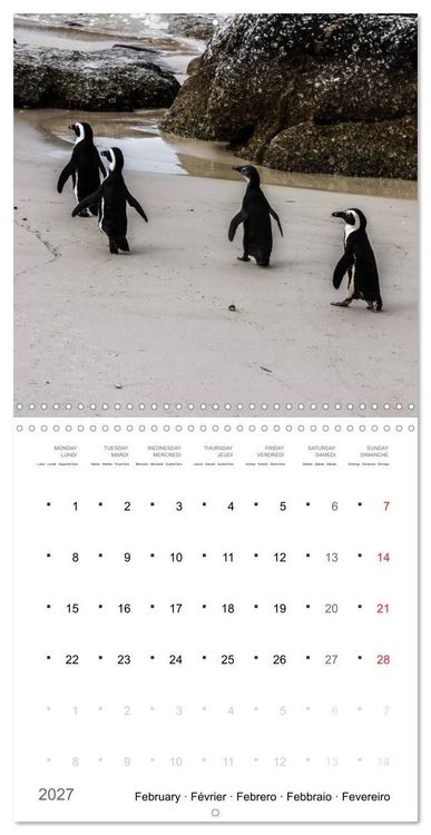 Produktbild: Adventure South Africa 2027 (Wall Calendar 2027 12 &times; 12 Inch) CALVENDO 12 Month Wall Calendar