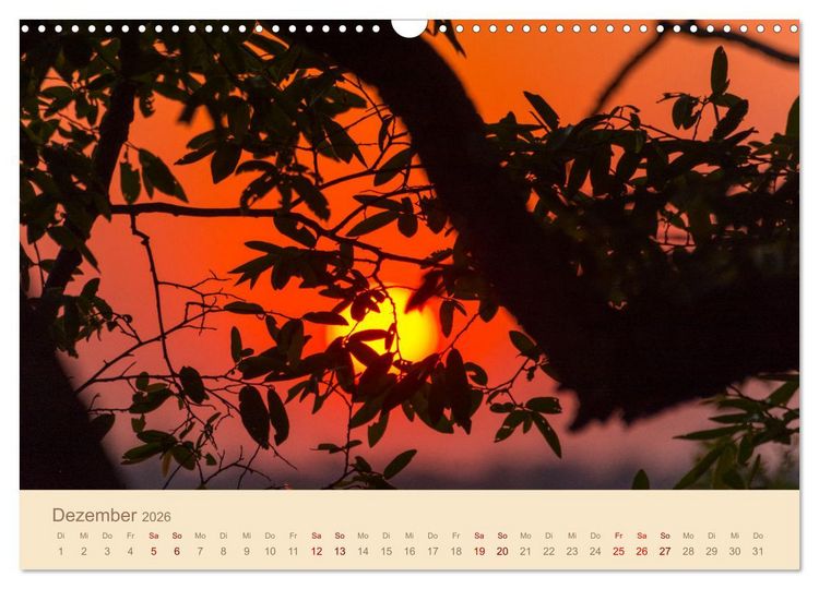 Produktbild: Einmalige Landschaften in Afrika (Wandkalender 2026 DIN A3 quer), CALVENDO Monatskalender