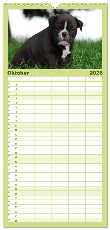 Produktbild: Familienplaner 2026 - Bulldoggen-Kinder mit 5 Spalten (Wandkalender, 21 x 45 cm) CALVENDO