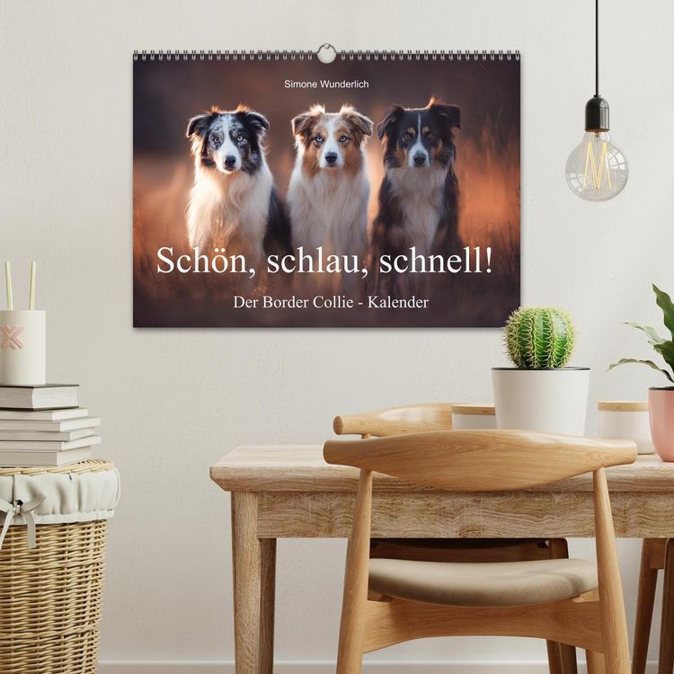 Produktbild: Sch&ouml;n, schlau, schnell! - Der Border Collie - Kalender (Wandkalender 2026 DIN A3 quer), CALVENDO Monatskalender