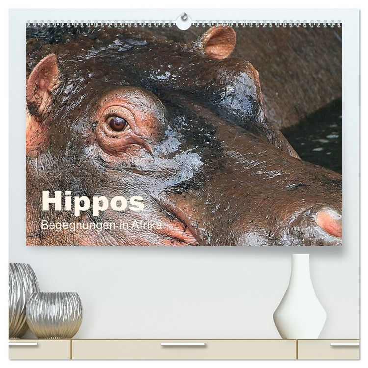 Produktbild: Hippos - Begegnungen in Afrika (hochwertiger Premium Wandkalender 2027 DIN A2 quer), Kunstdruck in Hochglanz