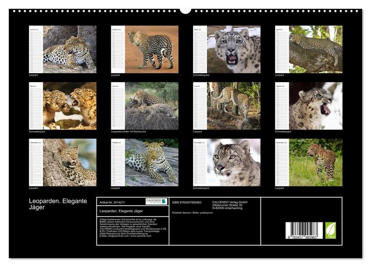 Produktbild: Leoparden. Elegante J&auml;ger (hochwertiger Premium Wandkalender 2026 DIN A2 quer), Kunstdruck in Hochglanz
