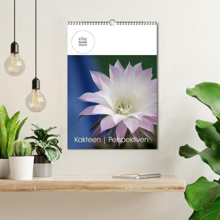 Produktbild: Kakteen Perspektiven (Wandkalender 2026 DIN A3 hoch), CALVENDO Monatskalender