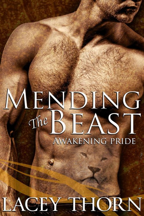 Produktbild: Mending the Beast (Awakening Pride, #10)