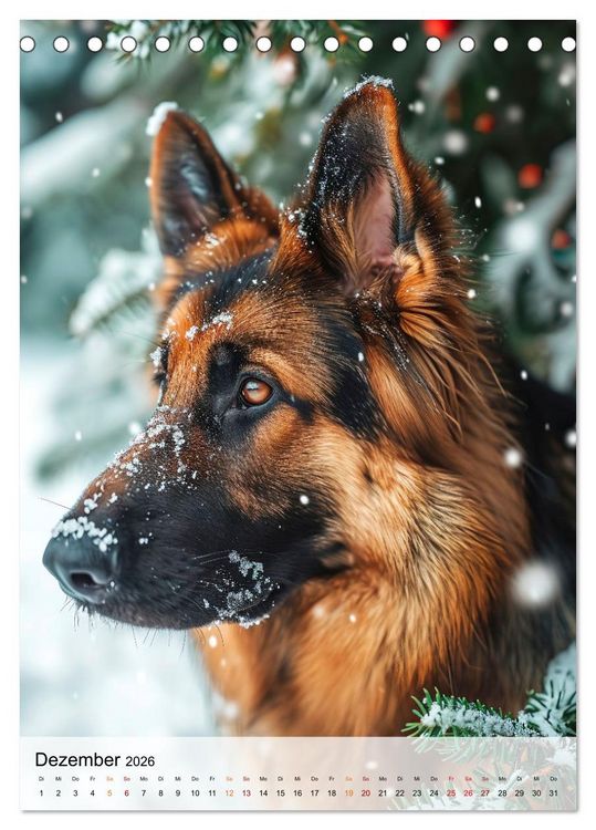 Produktbild: Deutscher Sch&auml;ferhund - mutig und zuverl&auml;ssig (Tischkalender 2026 DIN A5 hoch), CALVENDO Monatskalender