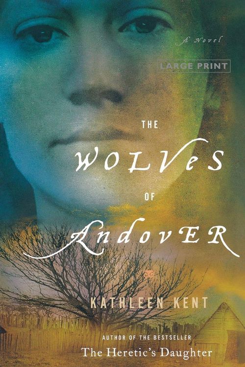 Produktbild: The Wolves of Andover