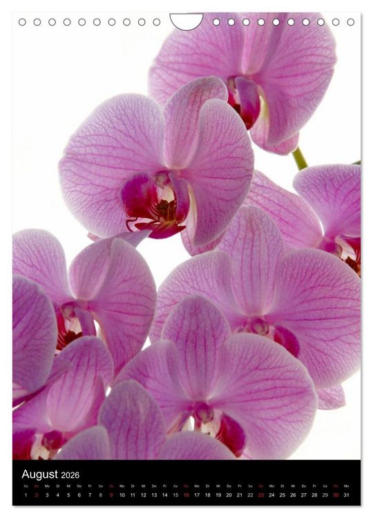 Produktbild: Faszination Orchideen (Wandkalender 2026 DIN A4 hoch), CALVENDO Monatskalender