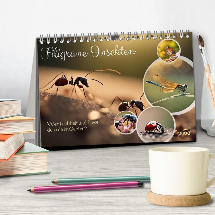 Produktbild: Filigrane Insekten (Tischkalender 2026 DIN A5 quer), CALVENDO Monatskalender