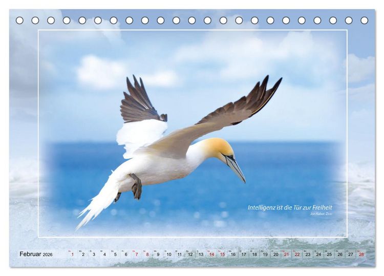 Produktbild: Insel Gedanken (Tischkalender 2026 DIN A5 quer), CALVENDO Monatskalender