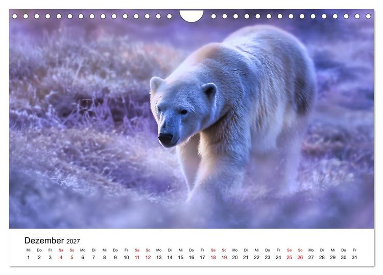Produktbild: K&ouml;nige des Nordens - Begegnungen mit Eisb&auml;ren (Wandkalender 2027 DIN A4 quer), CALVENDO Monatskalender