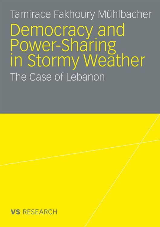 Produktbild: Democratisation and Power-Sharing in Stormy Weather