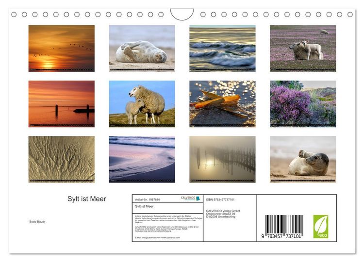 Produktbild: Sylt ist Meer (Wandkalender 2026 DIN A4 quer), CALVENDO Monatskalender