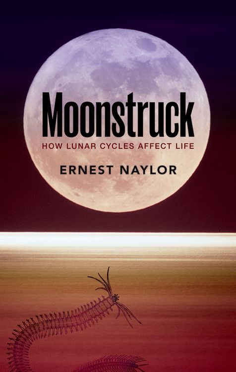 Produktbild: Moonstruck