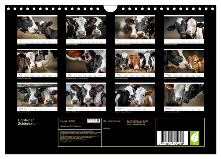 Produktbild: Holsteiner Sch&ouml;nheiten (Wandkalender 2026 DIN A4 quer), CALVENDO Monatskalender
