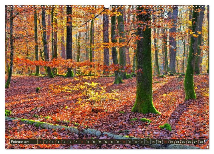 Produktbild: Der Altschlossfelsen - Gr&ouml;&szlig;te Felsformation der Pfalz im herbstlichen Farbspiel (hochwertiger Premium Wandkalender 2026 DIN A2 quer), Kunstdruck in Hochglanz