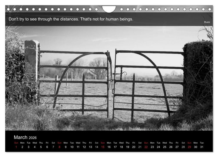 Produktbild: Through the Gate with Rumi (Wall Calendar 2026 DIN A4 landscape), CALVENDO 12 Month Wall Calendar