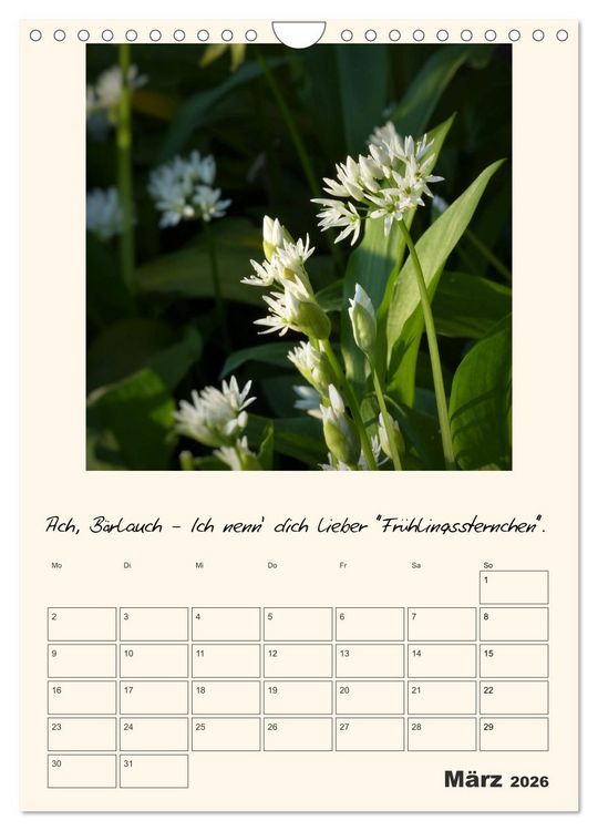 Produktbild: Gartengeschichten (Wandkalender 2026 DIN A4 hoch), CALVENDO Monatskalender