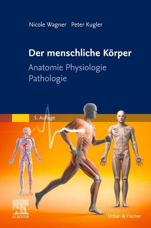 Produktbild: Der menschliche K&ouml;rper