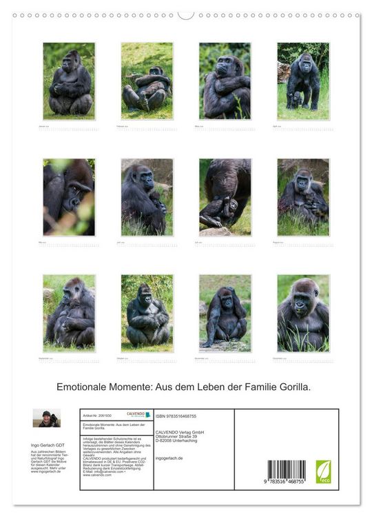 Produktbild: Emotionale Momente: Aus dem Leben der Familie Gorilla. (hochwertiger Premium Wandkalender 2026 DIN A2 hoch), Kunstdruck in Hochglanz