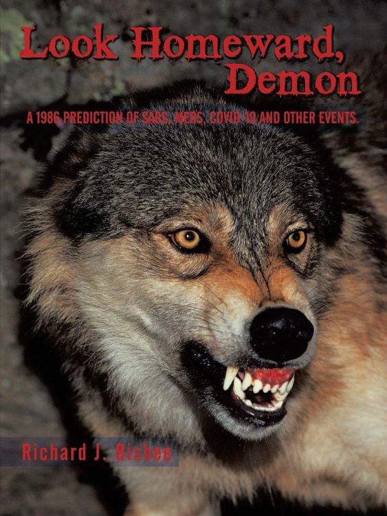 Produktbild: Look Homeward, Demon
