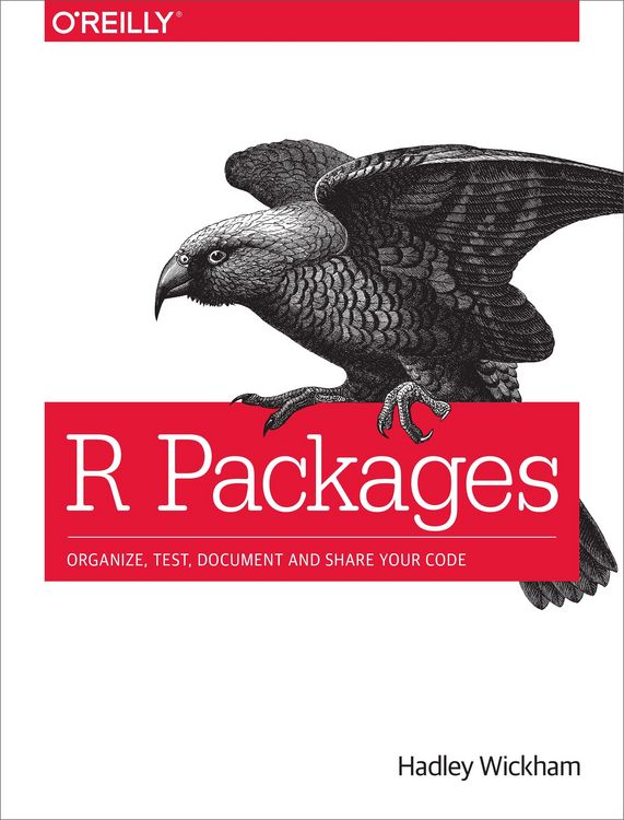 Produktbild: R Packages