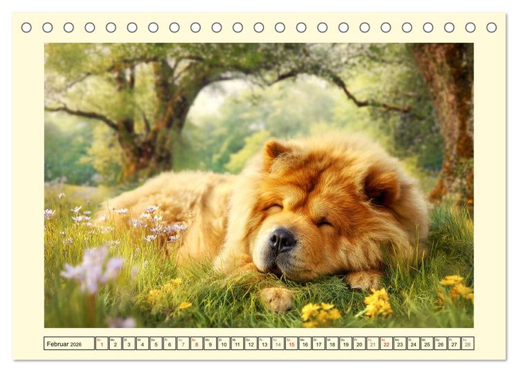Produktbild: Chow Chow Momente. Fellpoesie aus dem Reich der Mitte (Tischkalender 2026 DIN A5 quer), CALVENDO Monatskalender