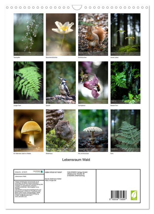 Produktbild: Lebensraum Wald (Wandkalender 2026 DIN A3 hoch), CALVENDO Monatskalender