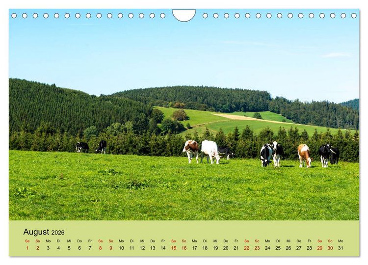 Produktbild: Pilgern im Waldecker Upland (Wandkalender 2026 DIN A4 quer), CALVENDO Monatskalender