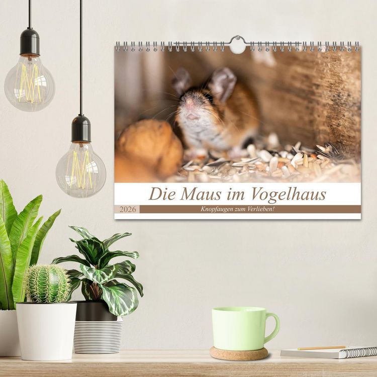 Produktbild: Die Maus im Vogelhaus (Wandkalender 2026 DIN A4 quer), CALVENDO Monatskalender