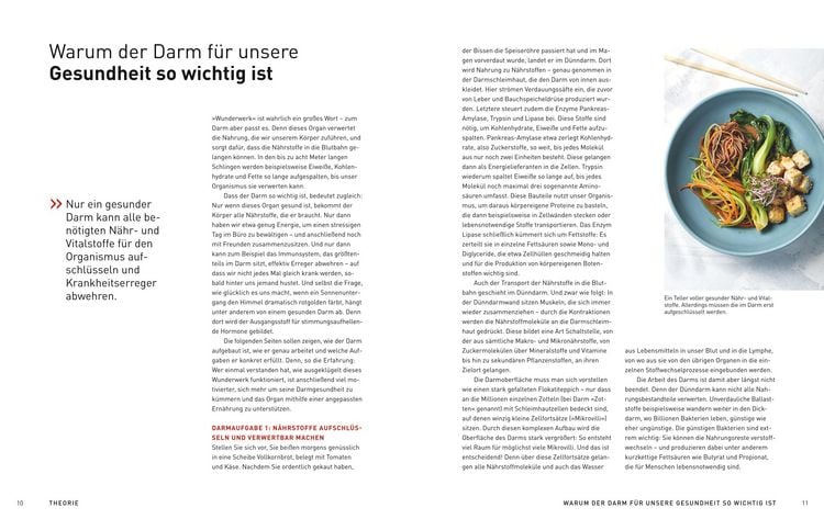 Produktbild: Medical Cuisine - Gesunder Darm