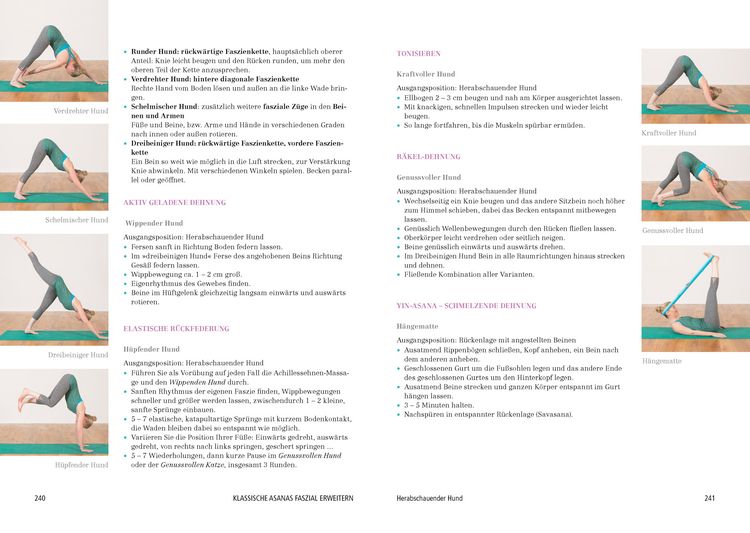 Produktbild: Das gro&szlig;e Faszien-Yoga Buch
