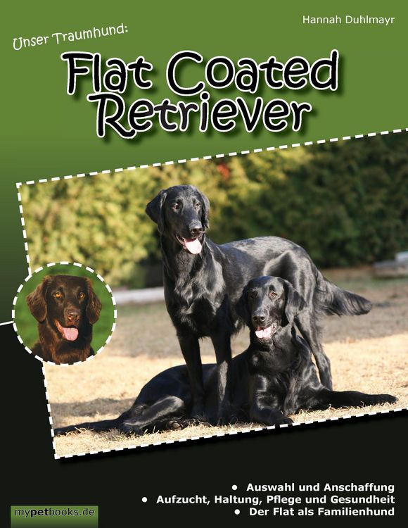 Produktbild: Unser Traumhund: Flat Coated Retriever