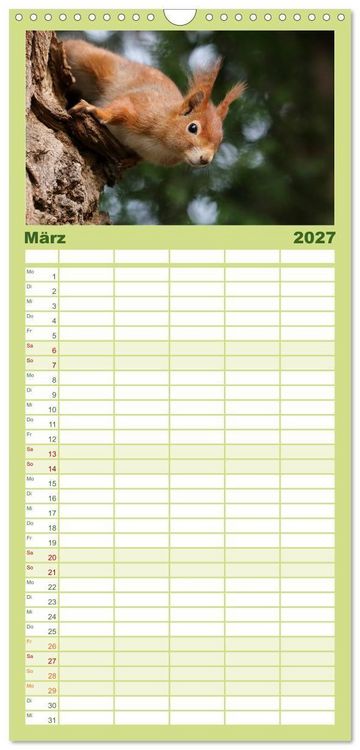 Produktbild: Familienplaner 2027 - Eichh&ouml;rnchen Momentaufnahmen f&uuml;rs Herz mit 5 Spalten (Wandkalender, 21 x 45 cm) CALVENDO