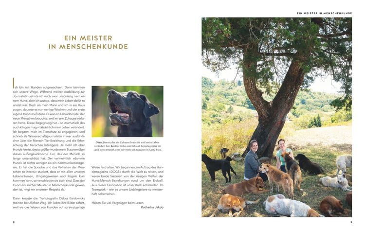 Produktbild: Gef&auml;hrte Hund