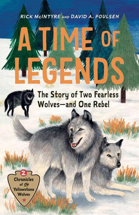 Produktbild: A Time of Legends