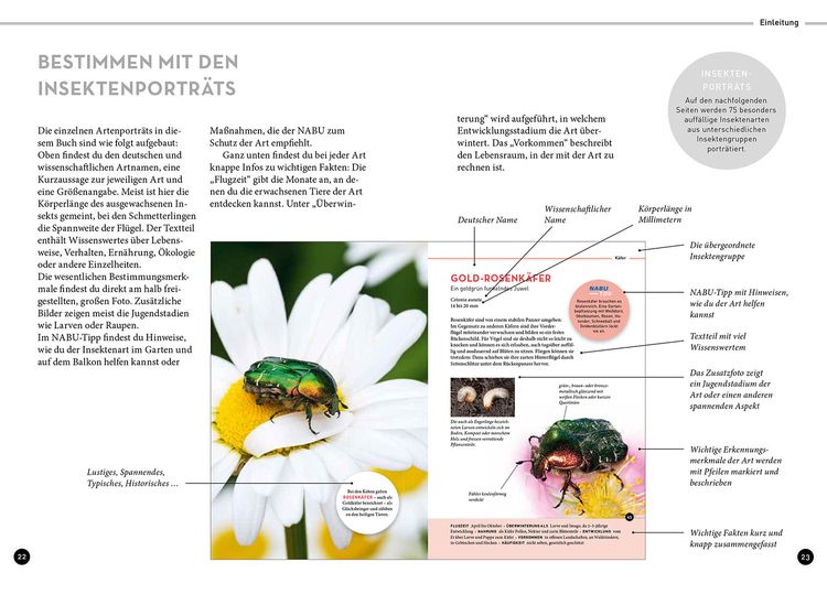 Produktbild: Wer summt denn hier?