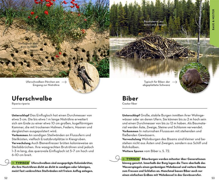 Produktbild: BASIC Tierspuren
